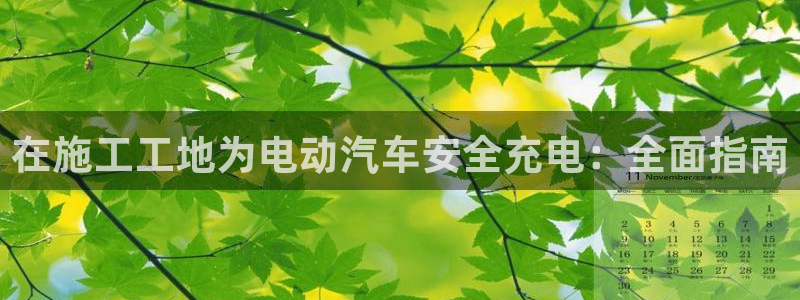 威廉希尔诺贝尔模型：在施工工地为电动汽车安全充电：全面指南