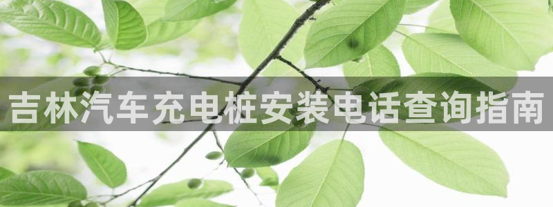 威廉cs：吉林汽车充电桩安装电话查询指南