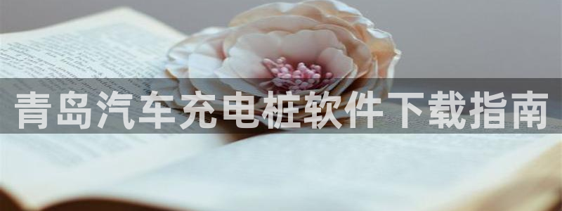 威廉希尔william hill：青岛汽车充电桩软件下载指南