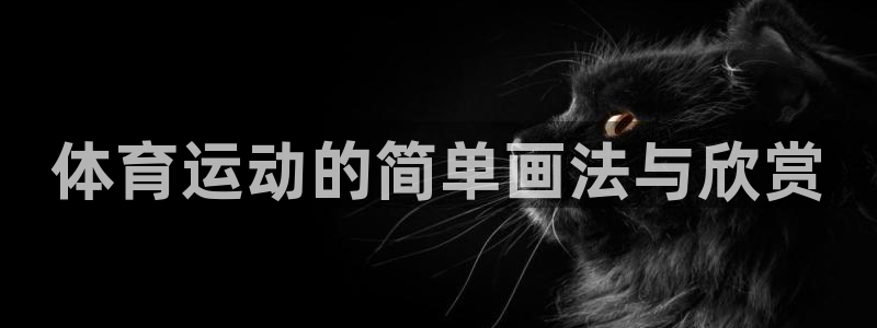哈哈体育十年：体育运动的简单画法与欣赏