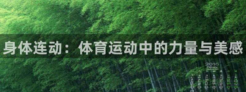 哈哈体育下载：身体连动：体育运动中的力量与美感