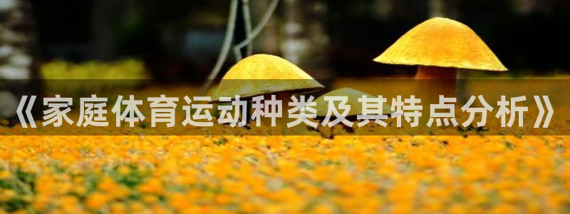 哈哈体育下载：《家庭体育运动种类及其特点分析》